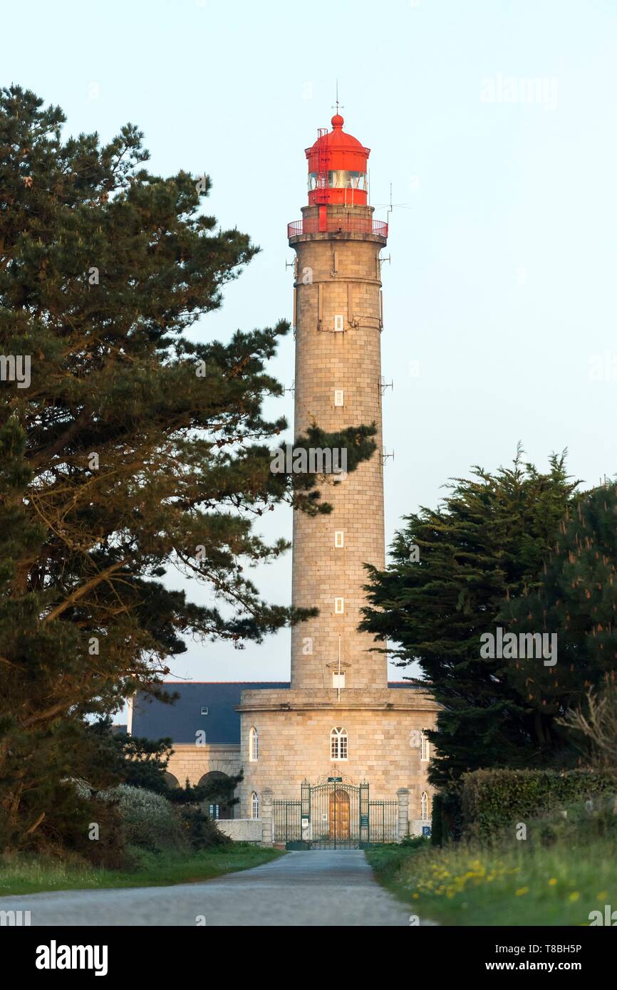 France, Morbihan, Belle-Île, l'île de Bangor, le phare du Goulphar ou grand phare de Kervilahouen Banque D'Images
