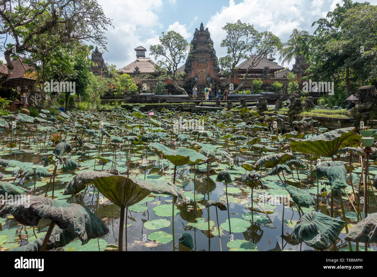 Le Pura Taman Saraswati est un beau temple de l'eau dans le centre de Ubud, accessibles à partir de la Jalan Kajeng adjacente à la route principale de Jalan Raya Ubu Banque D'Images