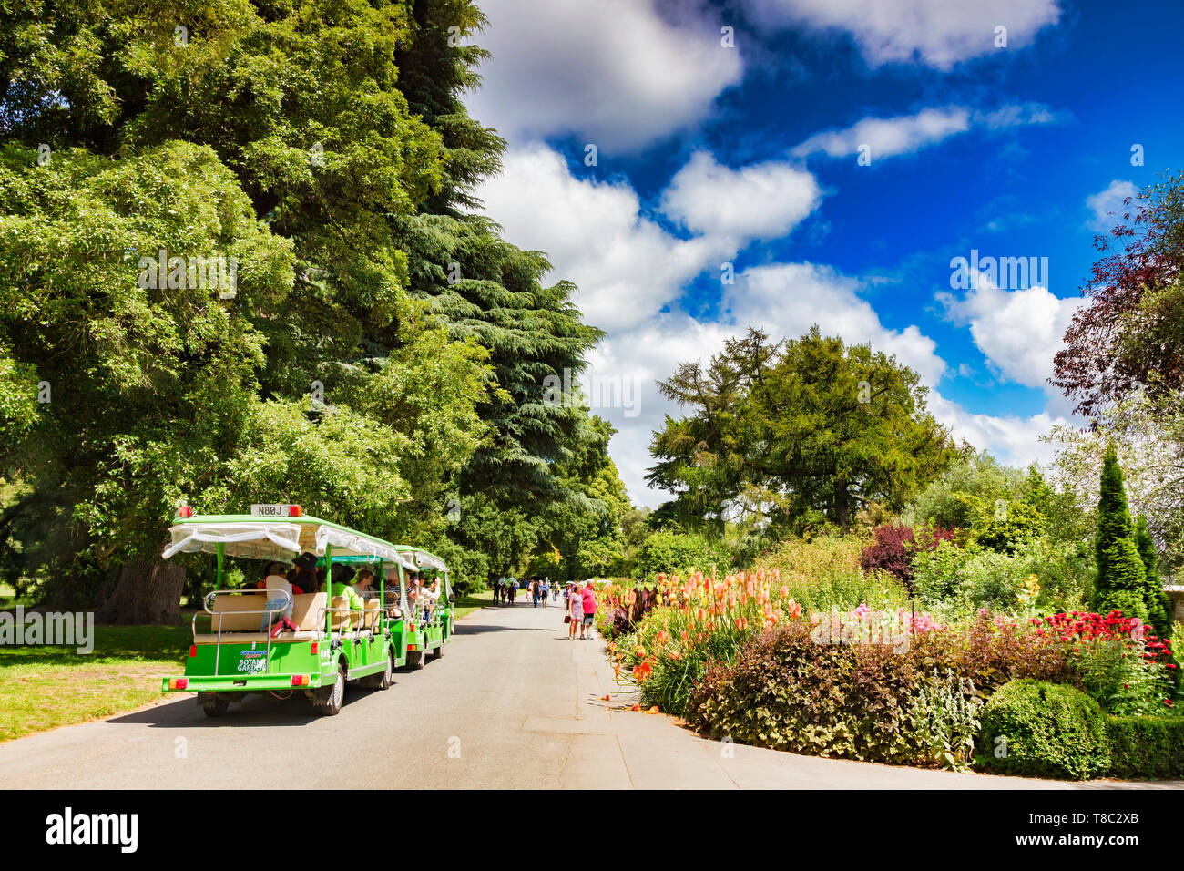 8 Janvier 2019 : Christchurch, Nouvelle-Zélande - train touristique et les touristes piétons admirer les fleurs dans la strate herbacée, la frontière sur une belle journée d'été. Banque D'Images