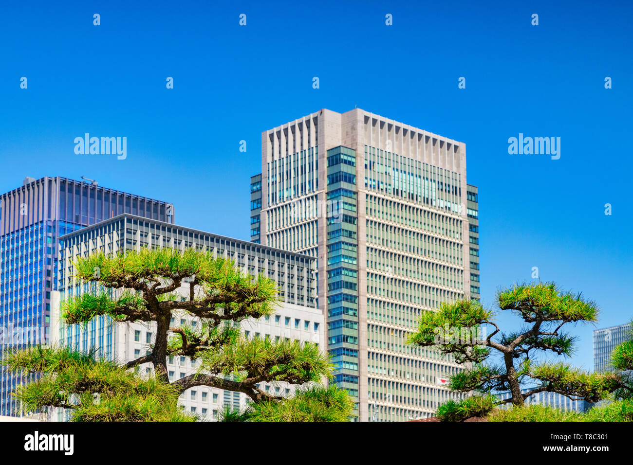 Une ville typique à Tokyo, au Japon, avec les gratte-ciel modernes compensée par des arbres topiaires. Se concentrer sur les arbres. Banque D'Images