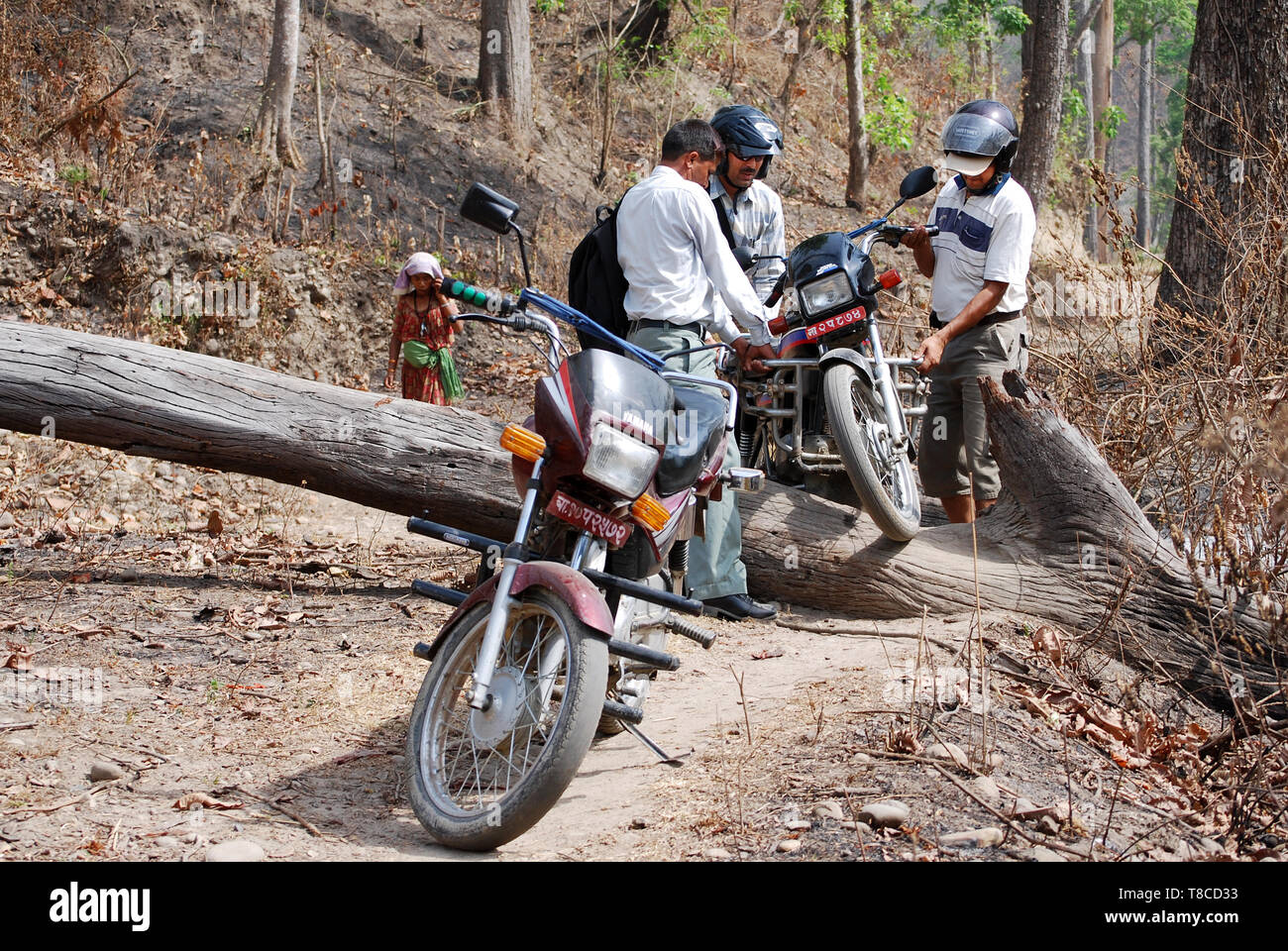 Groupe de motocyclistes dans l'aménagement forestier, Route bloquée par des chutes d'arbres. Des problèmes parce que le mauvais temps - les dommages-intérêts Banque D'Images