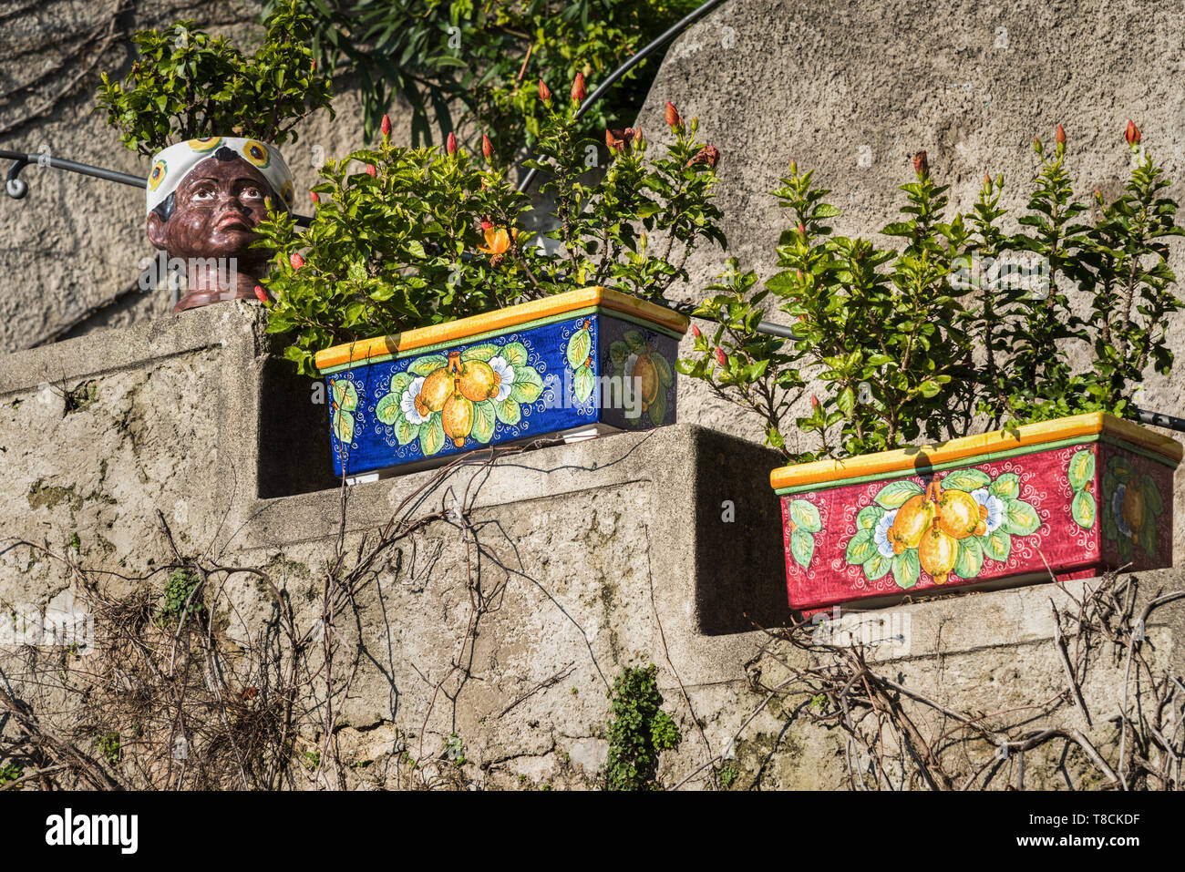 Pots de fleurs en céramique colorée, Positano, Amalfi Coast, Italie Banque D'Images