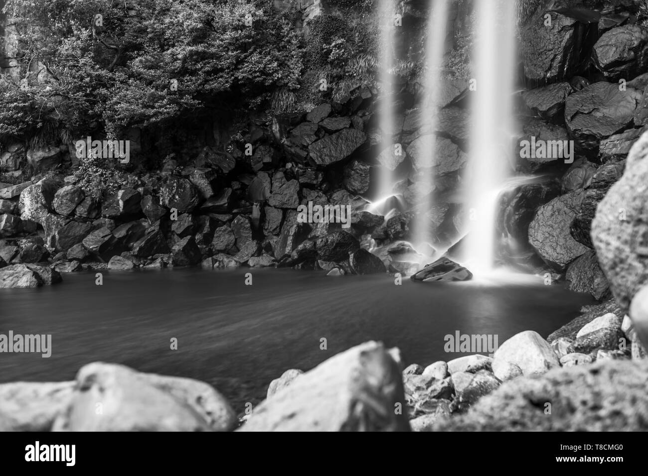 Paysage noir et blanc de Jeongbang waterfall à Jeju, Corée du Sud Banque D'Images