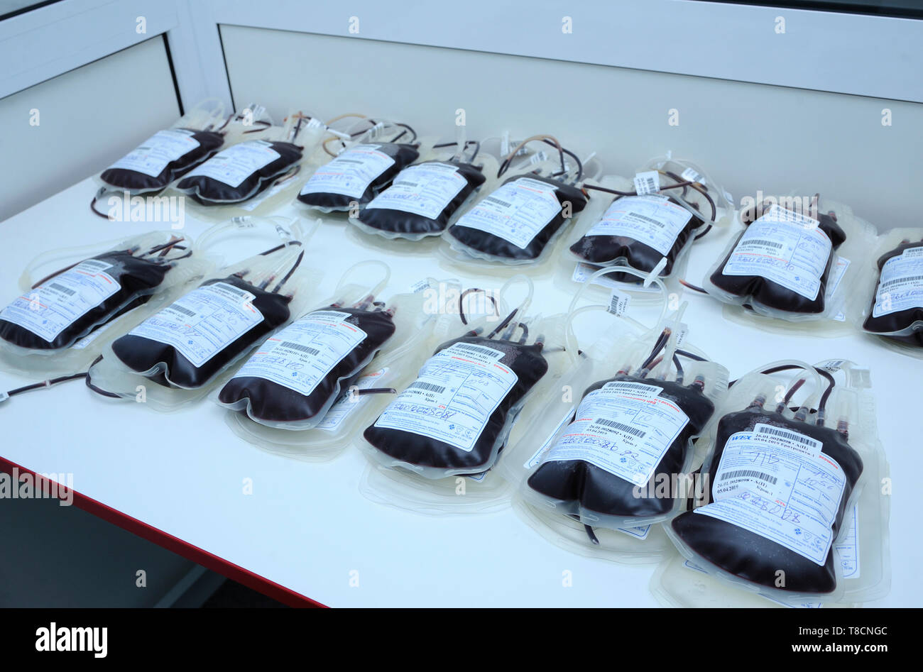 Avec le sang des conteneurs placés sur une table. La Ville (municipal) transfusion de sang. Le 5 avril 2019. Kiev, Ukraine Banque D'Images