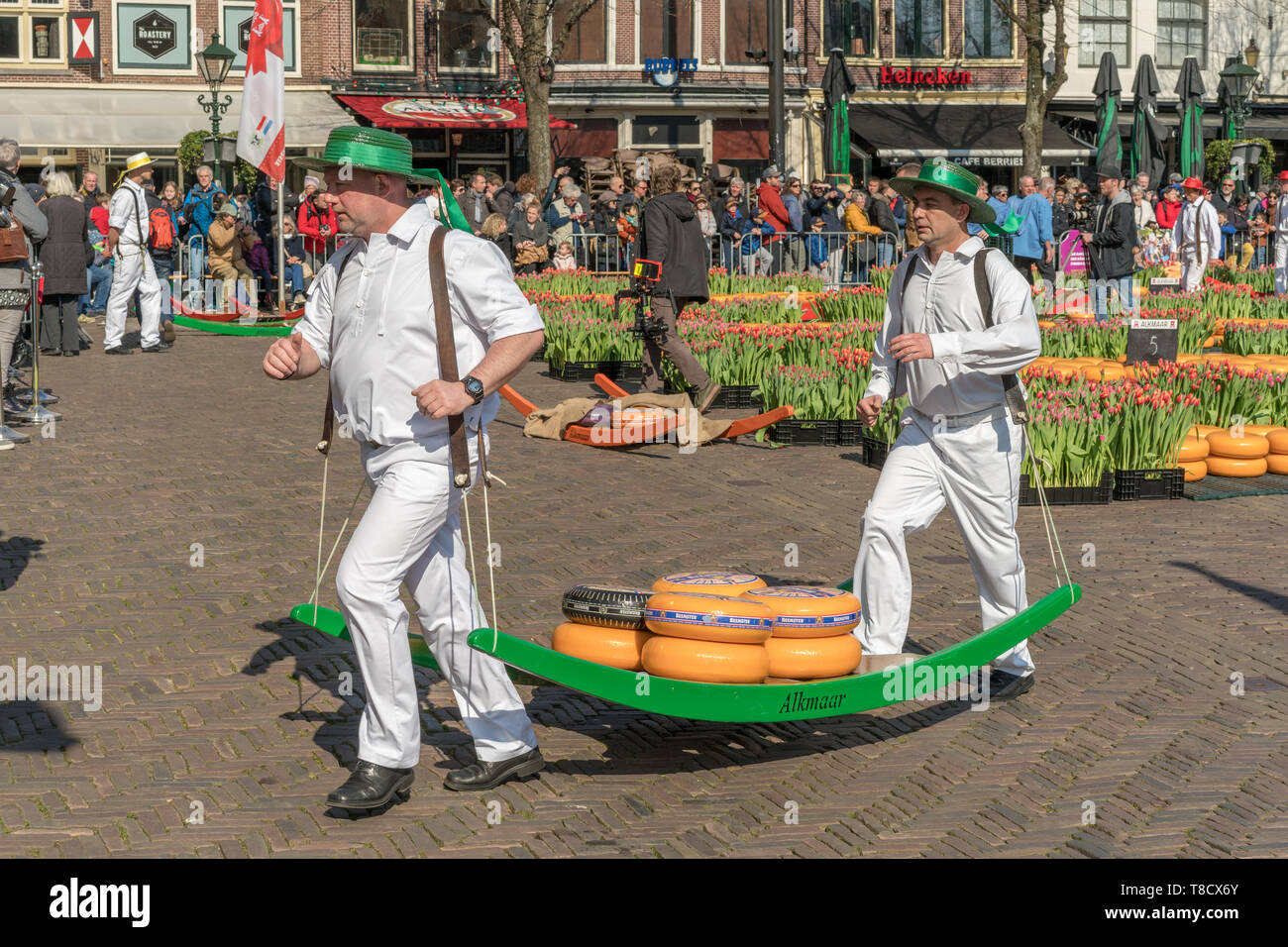 Alkmaar, Pays-Bas - 12 Avril 2019 : marché du fromage traditionnel sur la Waagplein square à Alkmaar. Banque D'Images