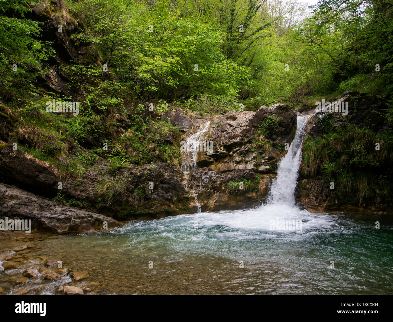 Fiacciano alias Cascate di Bozzi delle Fate. Traduction : chutes d'Fiacciano, alias la Fée des étangs . Près de Fivizzano en Lunigiana, au nord de la Toscane, Italie. Banque D'Images