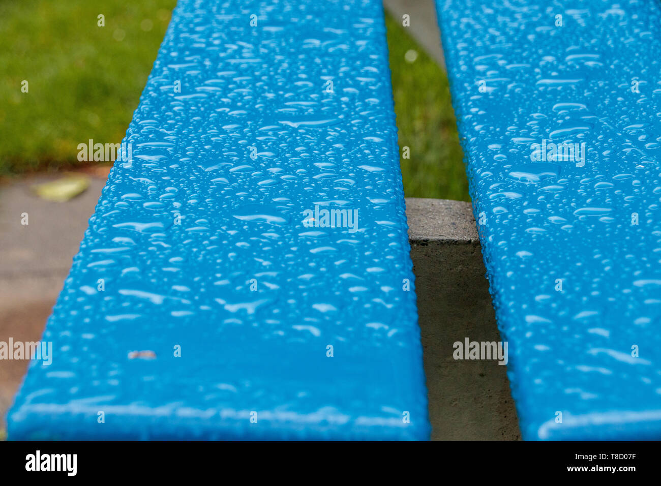 Après une averse, ce banc à Walenstadt près du lac Walensee est humide avec de grandes gouttes d'eau sur sa surface fraîchement peint. Banque D'Images