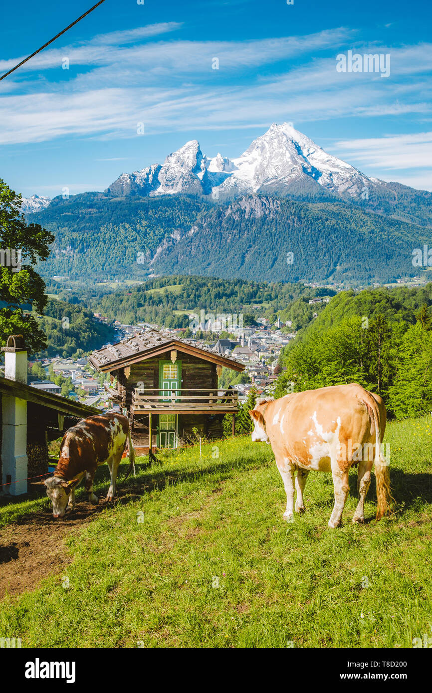 Belle vue panoramique sur un paysage alpin idyllique avec chalets de montagne traditionnels et des vaches paissant sur des prairies vertes sur une belle journée ensoleillée avec bl Banque D'Images