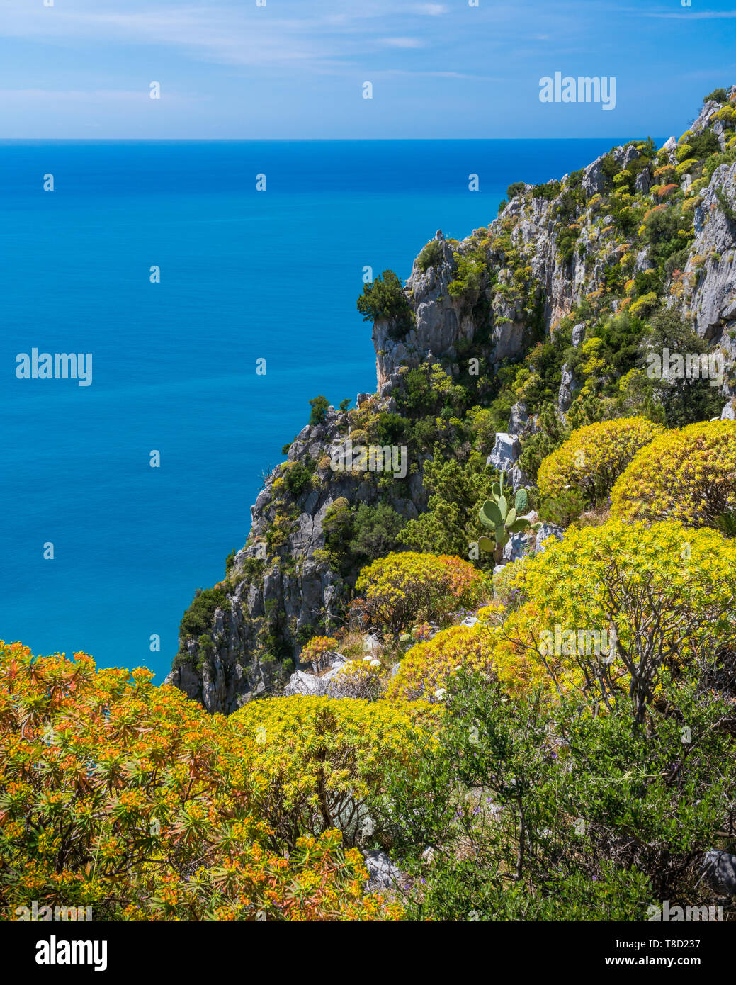 Seascape méditerranée pittoresque avec des falaises à Palinuro, Cilento, Campanie, Italie. Banque D'Images