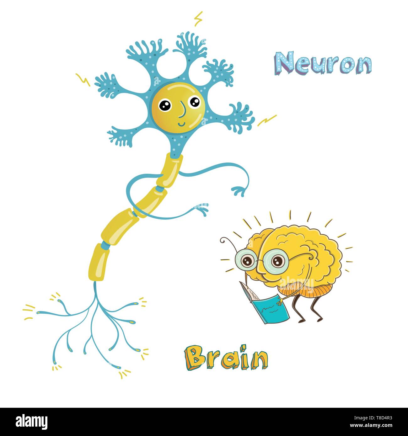Vector illustration de la structure des droits de neurone et cerveau humain en bonne santé. Drôle illustration pédagogique pour les enfants. Les caractères isolés. Illustration de Vecteur