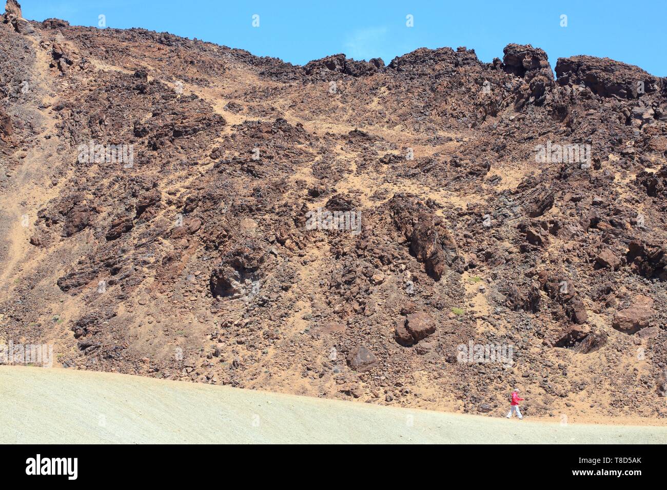 L'Espagne, Iles Canaries, Tenerife, province de Santa Cruz de Tenerife, le Parc National du Teide (inscrite au Patrimoine Mondial de l'UNESCO), ancienne coulée Banque D'Images