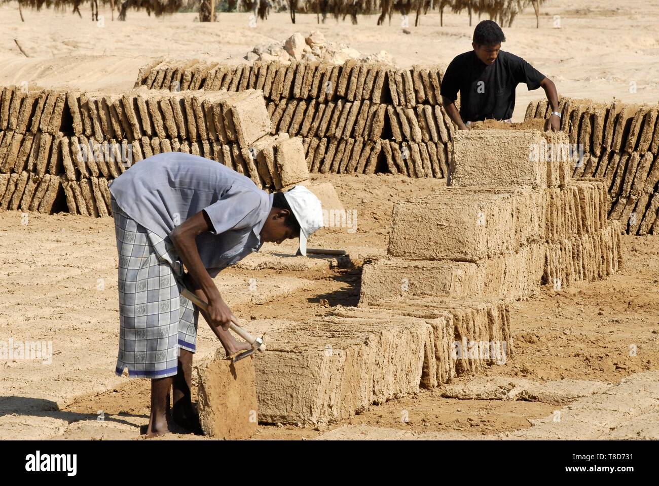Au Yémen, le Gouvernorat de l'Hadramaout, Tarim, faisant des briques de boue pour la construction Banque D'Images