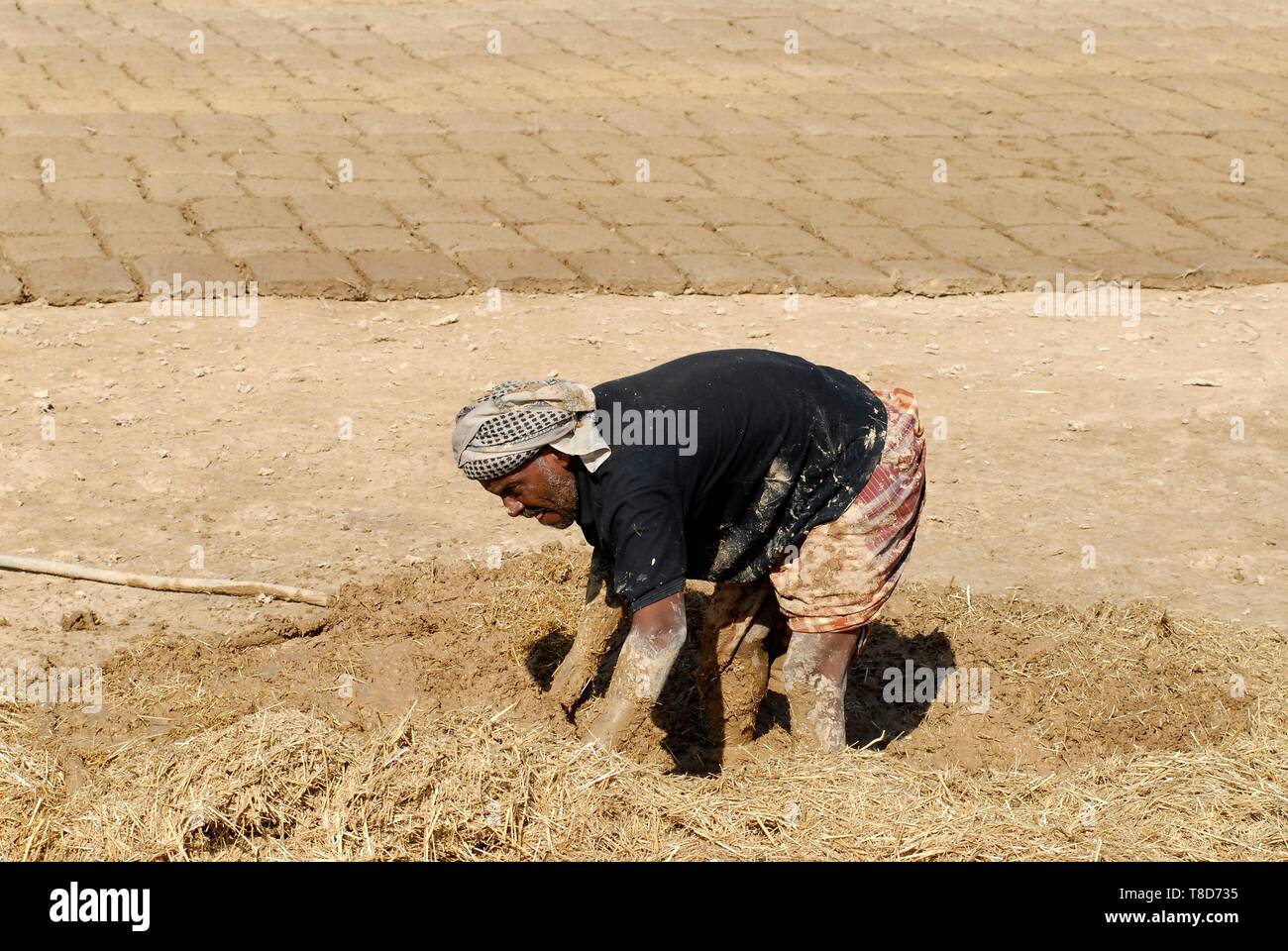 Au Yémen, le Gouvernorat de l'Hadramaout, Tarim, faisant des briques de boue pour la construction Banque D'Images