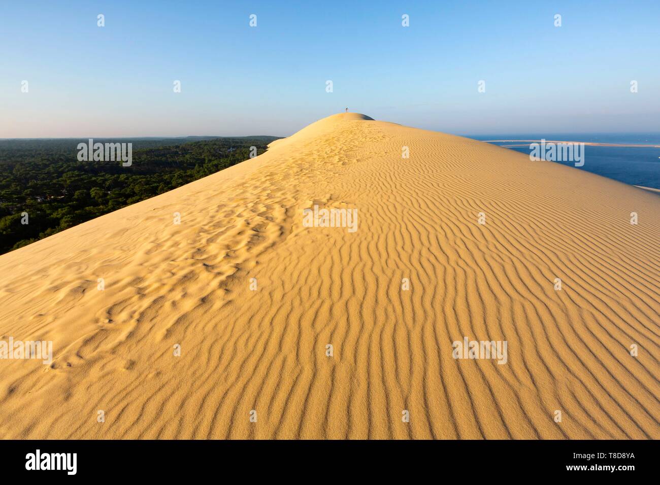 France, Gironde, bassin d'Arcachon, La Teste de Buch, Pyla sur Mer, la Dune du Pilat Banque D'Images