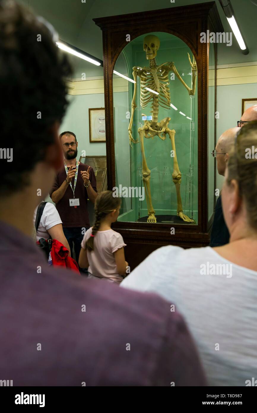 Italie, Toscane, Florence, le centre historique classé au Patrimoine Mondial par l'UNESCO, le Musée de la Specola au Natural History Museum est le plus ancien musée scientifique en Europe, connu pour ses cires anatomiques par Clemente Susini Banque D'Images