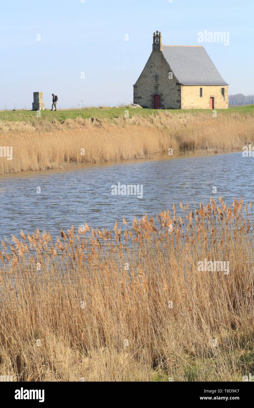 La France, de l'Ille et Vilaine, Côte d'Emeraude, Baie du Mont Saint Michel, classé au Patrimoine Mondial de l'UNESCO, Saint Broladre, la Chapelle Sainte Anne (17e siècle) au bord de la digue de la Duchesse Anne Banque D'Images