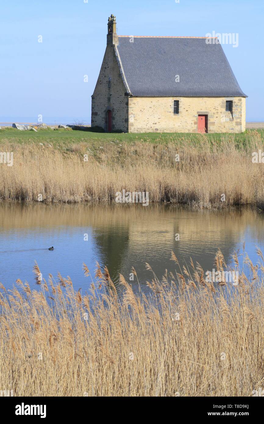 La France, de l'Ille et Vilaine, Côte d'Emeraude, Baie du Mont Saint Michel, classé au Patrimoine Mondial de l'UNESCO, Saint Broladre, la Chapelle Sainte Anne (17e siècle) au bord de la digue de la Duchesse Anne Banque D'Images