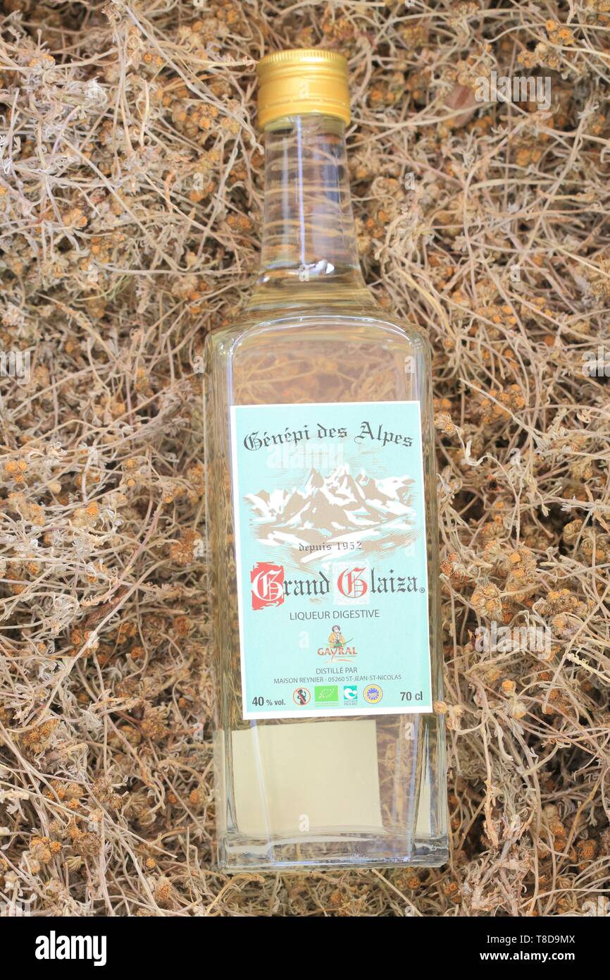 Genepi liqueur Banque d'image et photos - Alamy