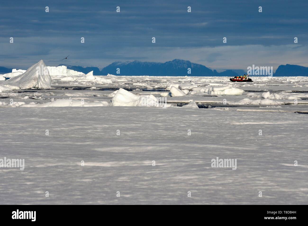 Le Groenland, côte nord-ouest, le détroit de Smith au nord de la baie de Baffin, morceaux de glace de la mer arctique et une exploration du zodiaque MS Fram navire Hurtigruten de cruse Banque D'Images