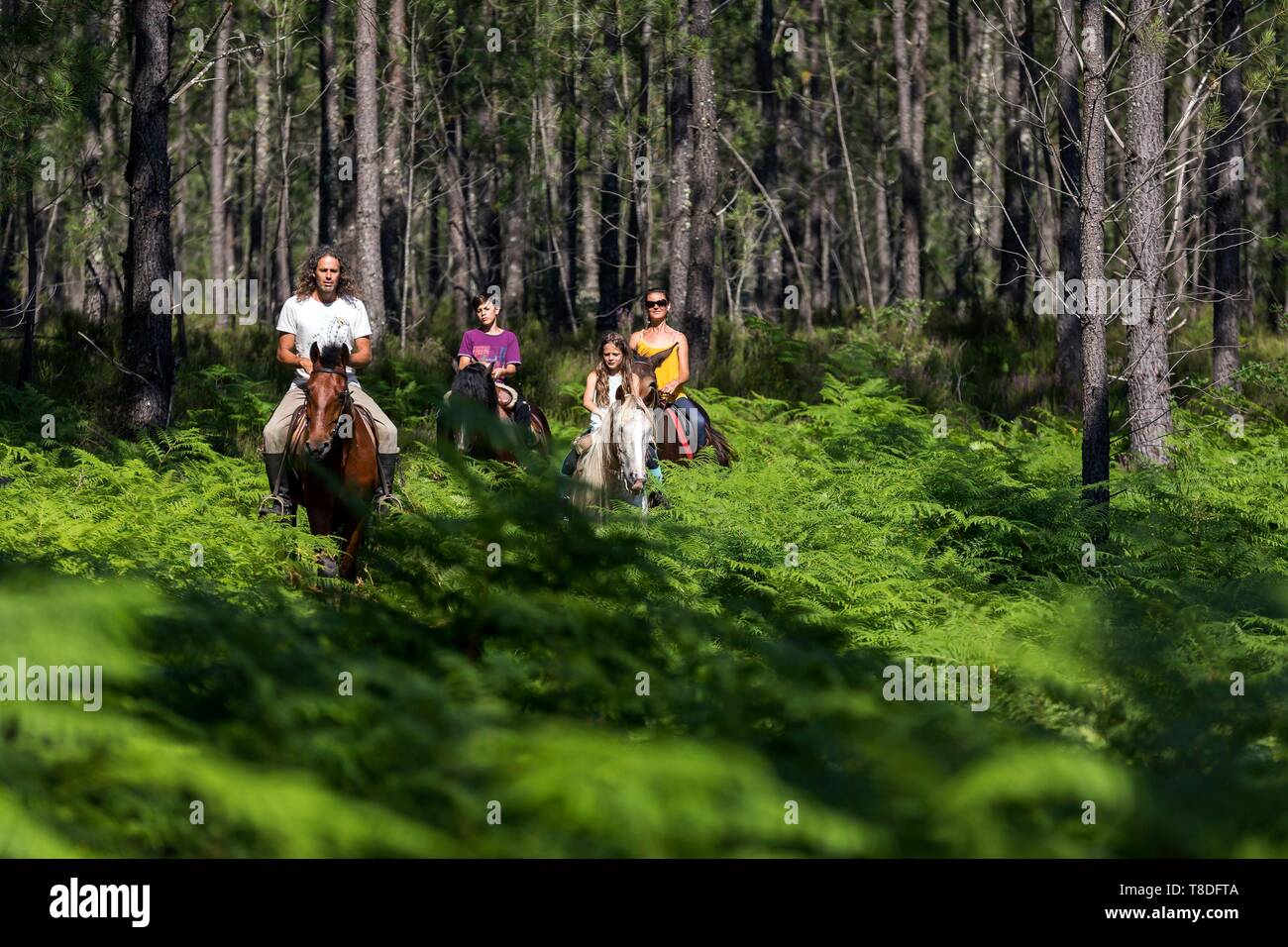 France, Gironde, Val de l'Eyre, Parc Naturel des Landes de Gascogne  RÚgional, balade à cheval avec Caballo Loco, une famille chilienne  spécialisée dans l'art équestre(vue aérienne Photo Stock - Alamy