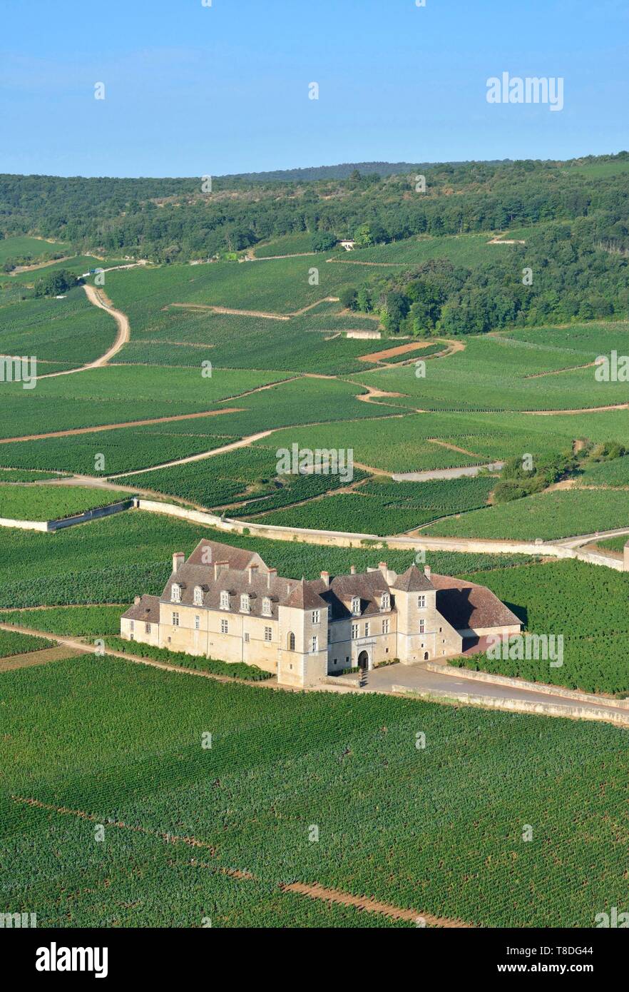 France, Côte d'Or, paysage culturel de climats de Bourgogne classé au Patrimoine Mondial par l'UNESCO, le vignoble et le château du Clos Vougeot (vue aérienne) Banque D'Images
