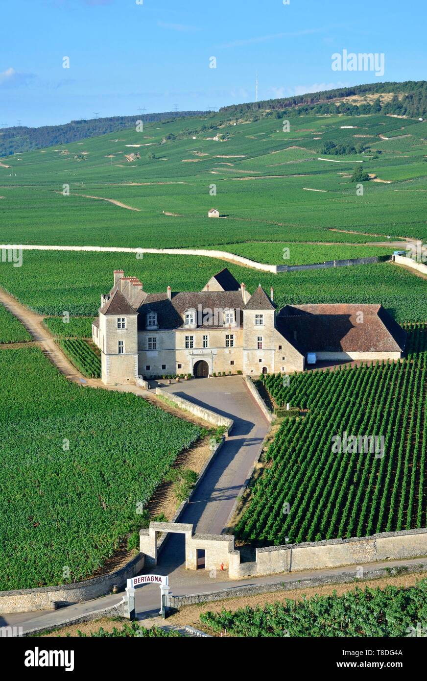 France, Côte d'Or, paysage culturel de climats de Bourgogne classé au Patrimoine Mondial par l'UNESCO, le vignoble et le château du Clos Vougeot (vue aérienne) Banque D'Images