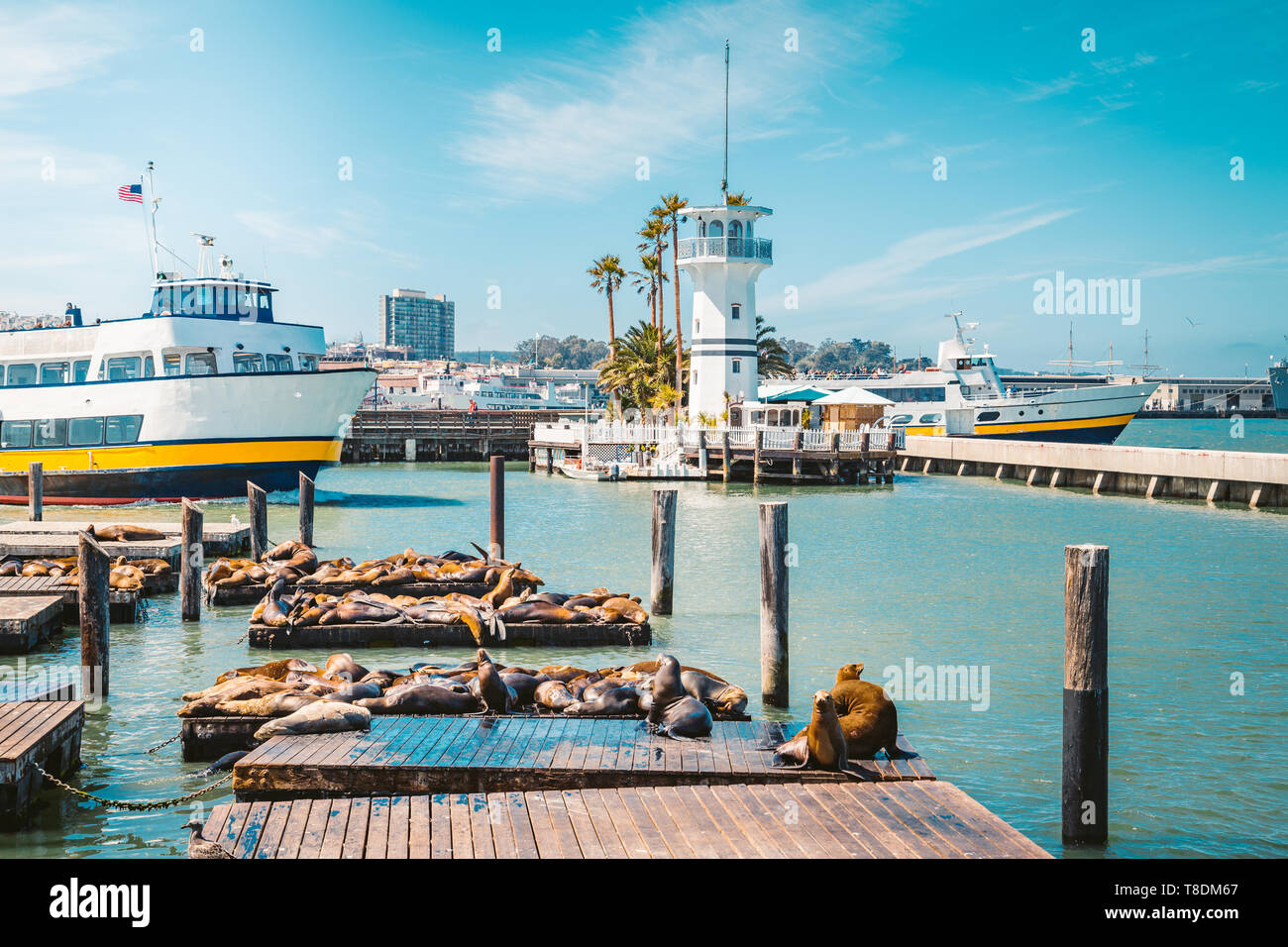 Belle vue de l'historique Pier 39 célèbre avec les lions de mer en été, Fisherman's Wharf, le centre de San Francisco, Californie, USA Banque D'Images