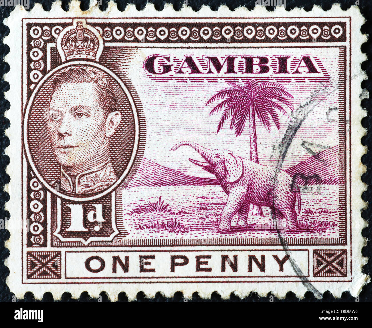 Sur l'éléphant vieux timbre-poste de la Gambie Banque D'Images