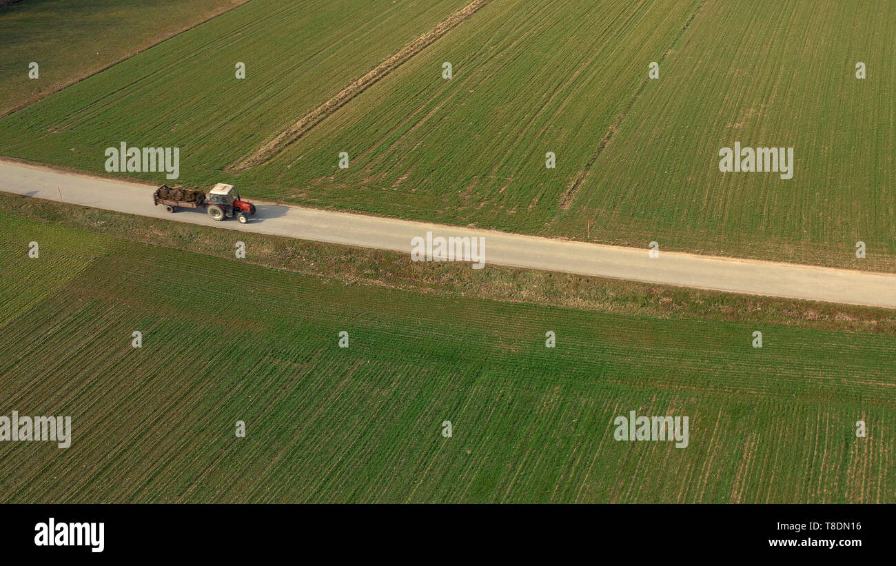 Vue aérienne d'un tracteur rouge et remorque transportant un chargement de fumier sur route, agricoles, fertiliying et traitement des sols Banque D'Images