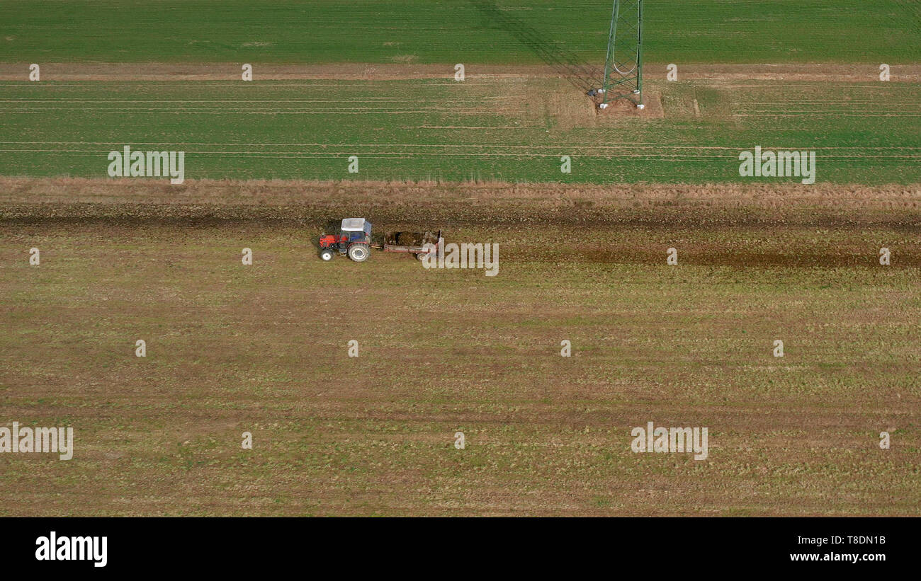 Vue aérienne d'un tracteur rouge et remorque transportant un chargement de fumier sur route, agricoles, fertiliying et traitement des sols Banque D'Images