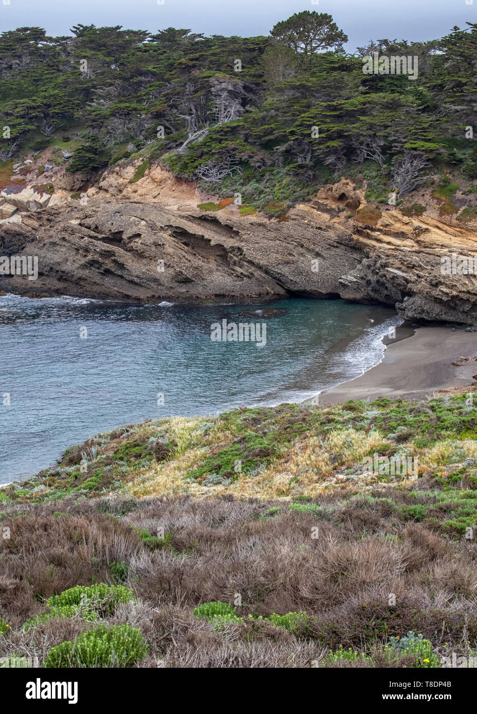 Pointe Cove, Point Lobos Banque D'Images