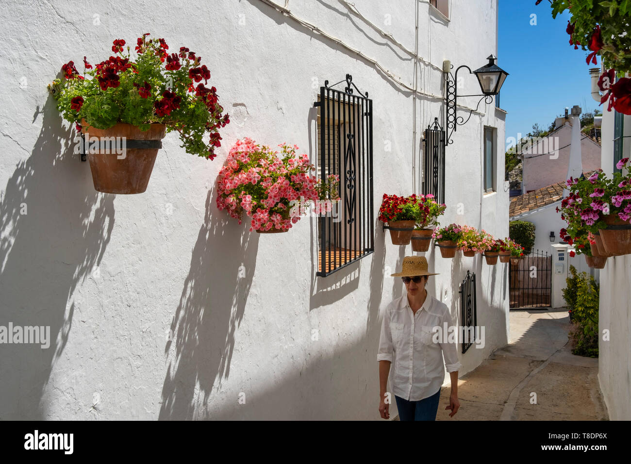 Fleurs en pot et street, typique village blanc de Mijas. Costa del Sol, Malaga province. Andalousie, Espagne du sud Europe Banque D'Images