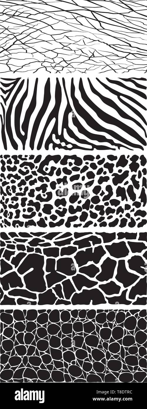 La faune animale fond noir et blanc Illustration de Vecteur