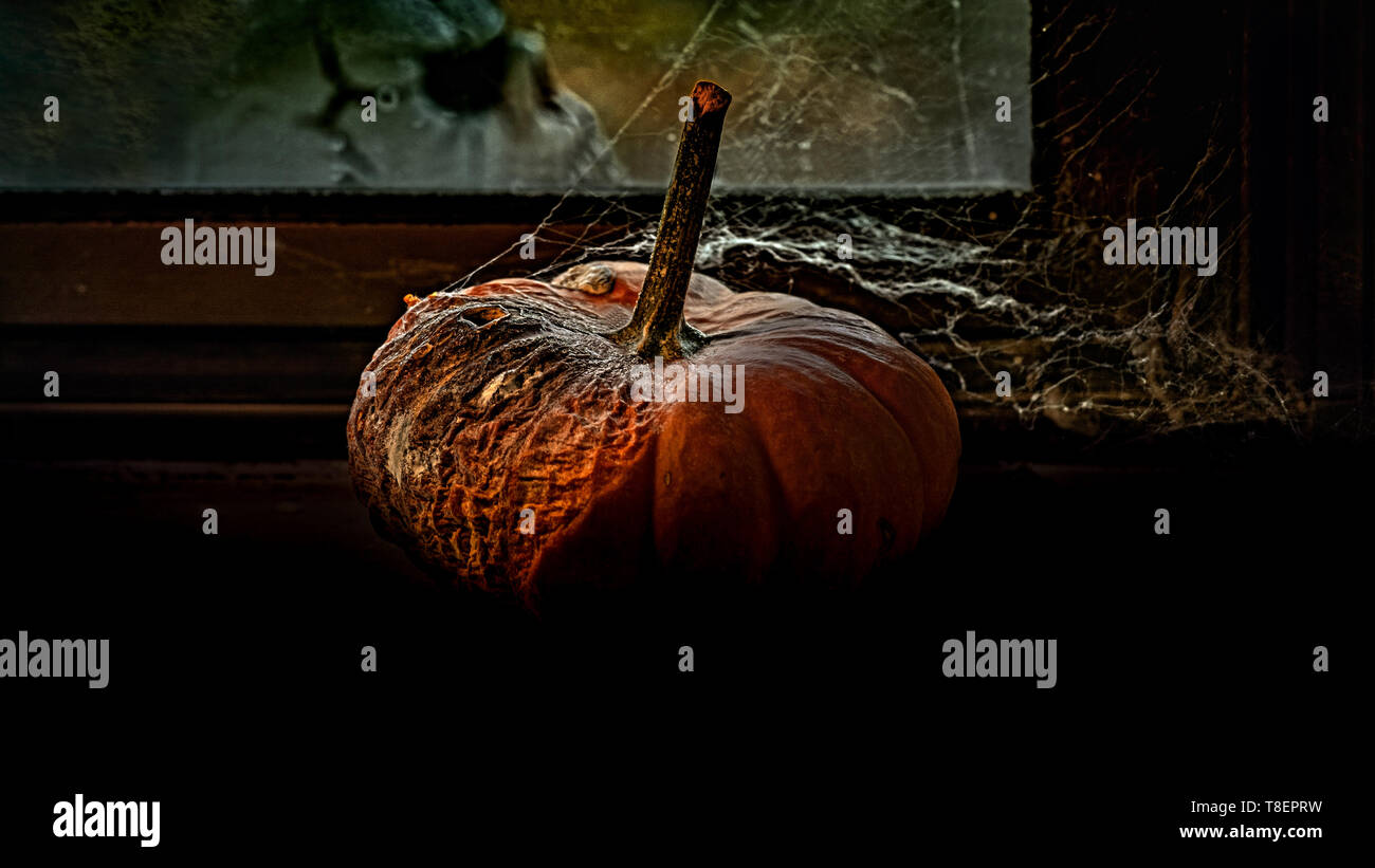 Résumé La vie toujours afficher la fenêtre par citrouille pourri couvert de filet araignée vu de côté, et un crâne de l'autre côté - Halloween c Banque D'Images