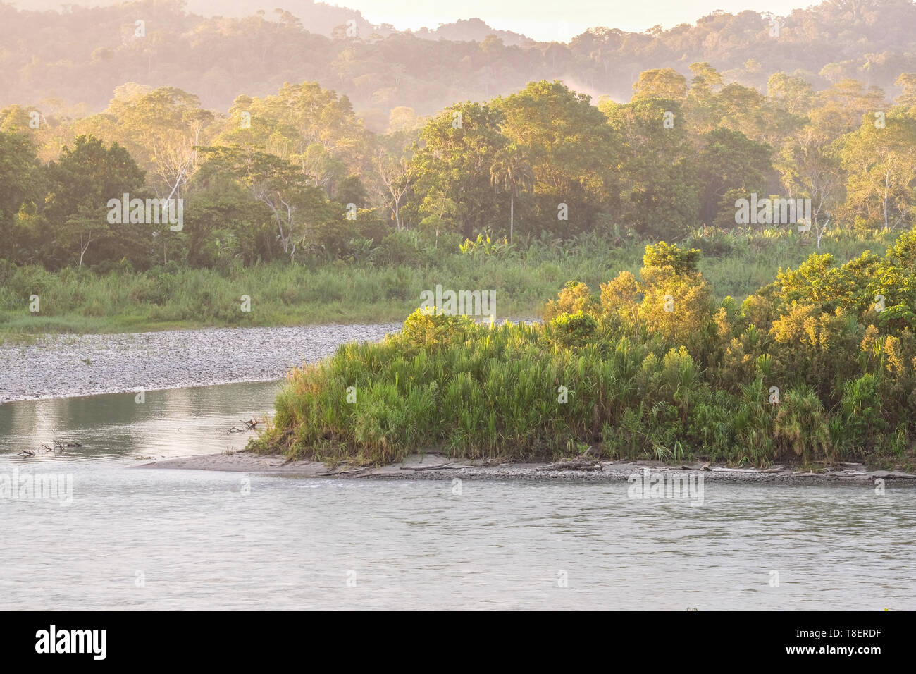 La lumière du matin et la brume sur la rivière Rio Napo en Equateur Banque D'Images