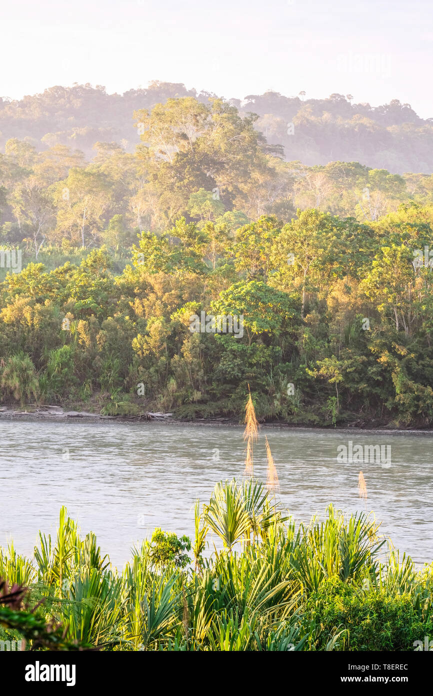 La lumière du matin et la brume sur la rivière Rio Napo en Equateur Banque D'Images