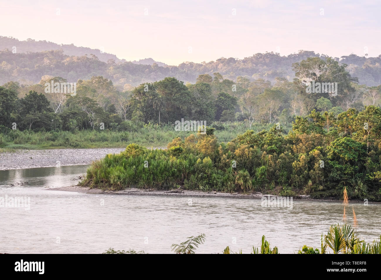 La lumière du matin et la brume sur la rivière Rio Napo en Equateur Banque D'Images