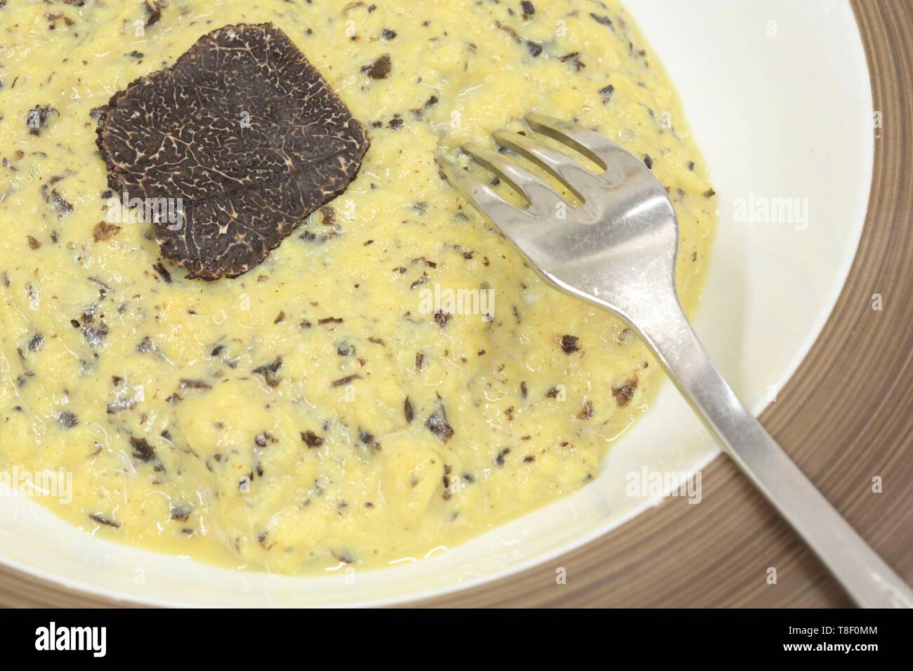 France, dordogne, Périgord, bousculade avec des truffes noires (tuber melanosporum) Banque D'Images