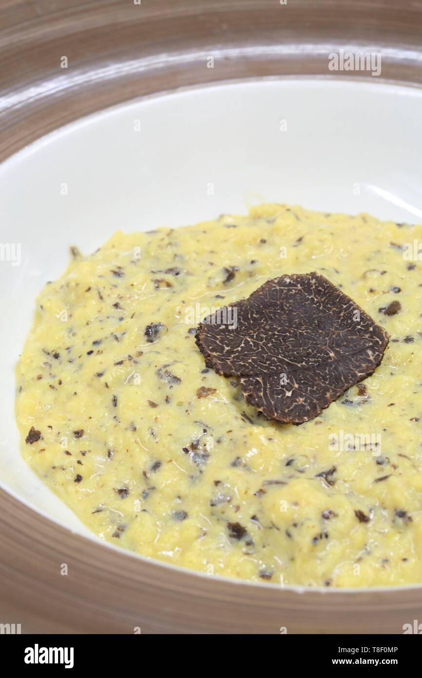 France, dordogne, Périgord, bousculade avec des truffes noires (tuber melanosporum) Banque D'Images