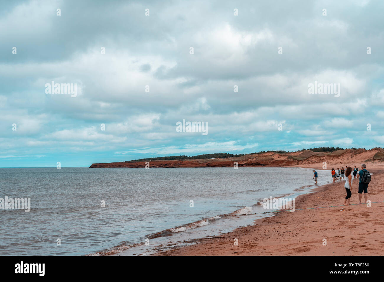 Des kilomètres de dunes de sable, les îles-barrières, de falaises de grès, de terres humides, forêts. Les plages de Cavendish font partie du Parc National de l'île Banque D'Images