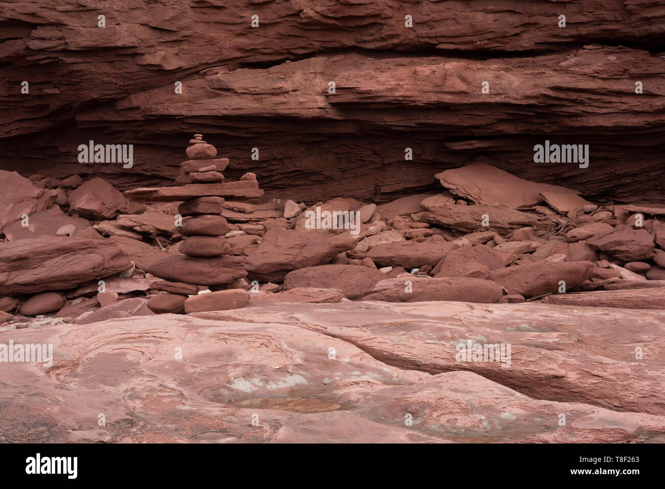 Des kilomètres de dunes de sable, les îles-barrières, de falaises de grès, de terres humides, forêts. Les plages de Cavendish font partie du Parc National de l'île Banque D'Images