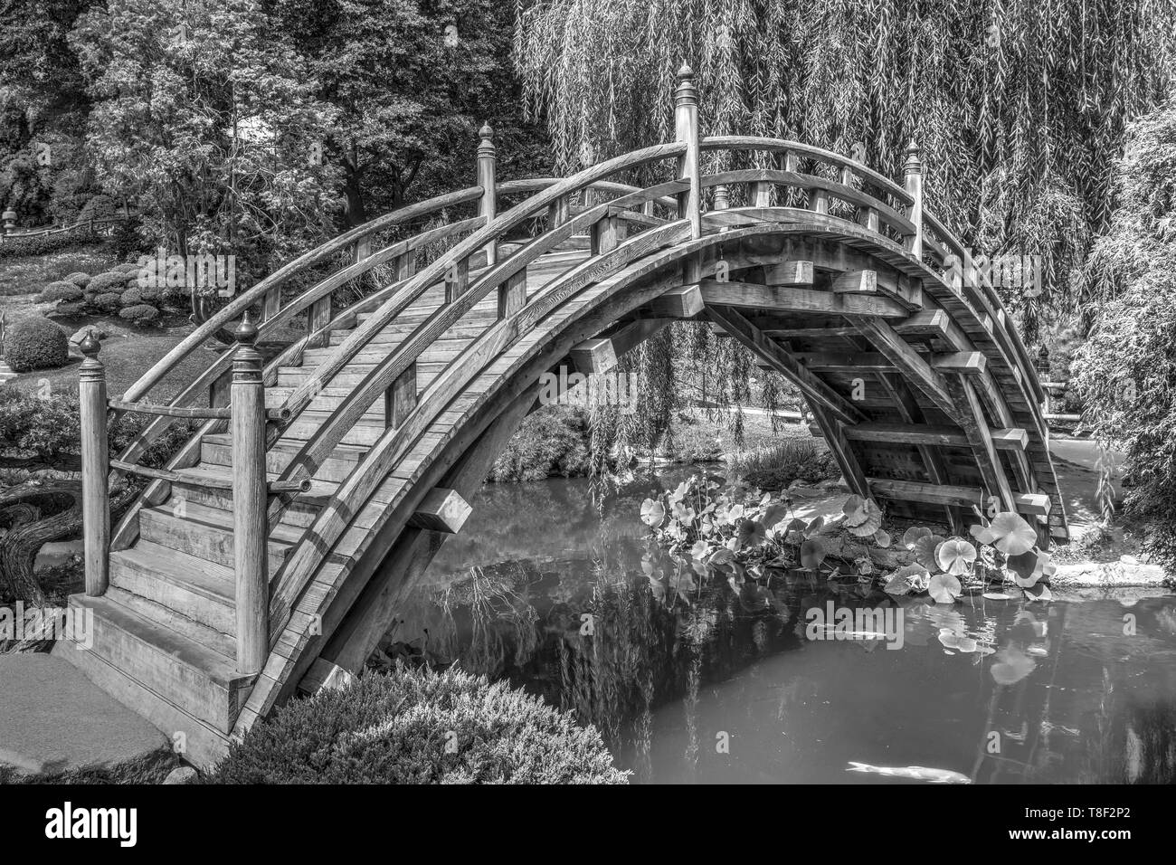 Pont de la lune, le Huntington Botanical Gardens Banque D'Images