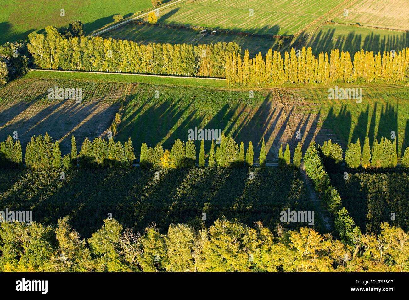 Mas thibert Banque de photographies et d’images à haute résolution Alamy