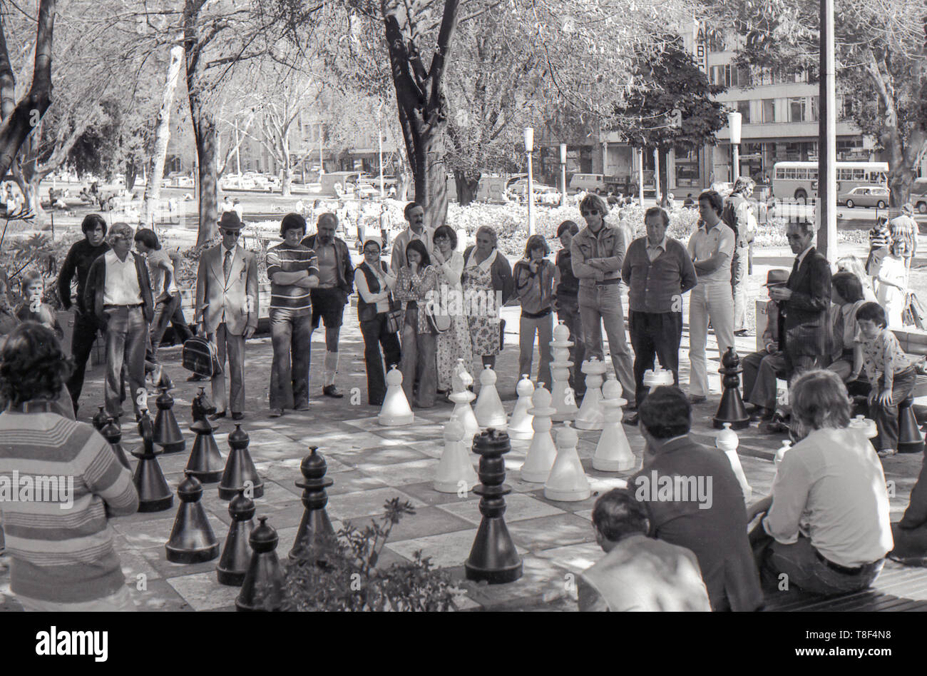 1977 Sydney Australie : Les gens, jeunes et vieux, se lever et de regarder tranquillement une partie d'échecs qui se joue avec des pièces de haute de genou dans Sydney Hyde Park. Dans le contexte d'un gouvernement et d'autres bus de la circulation s'effectue vers le bas Elizabeth Street. Le conseil d'échecs a été peint le béton et les pièces ont été fournies par la ville, les jeux étaient communs en semaine pendant l'heure du déjeuner et tout le weekend. Banque D'Images