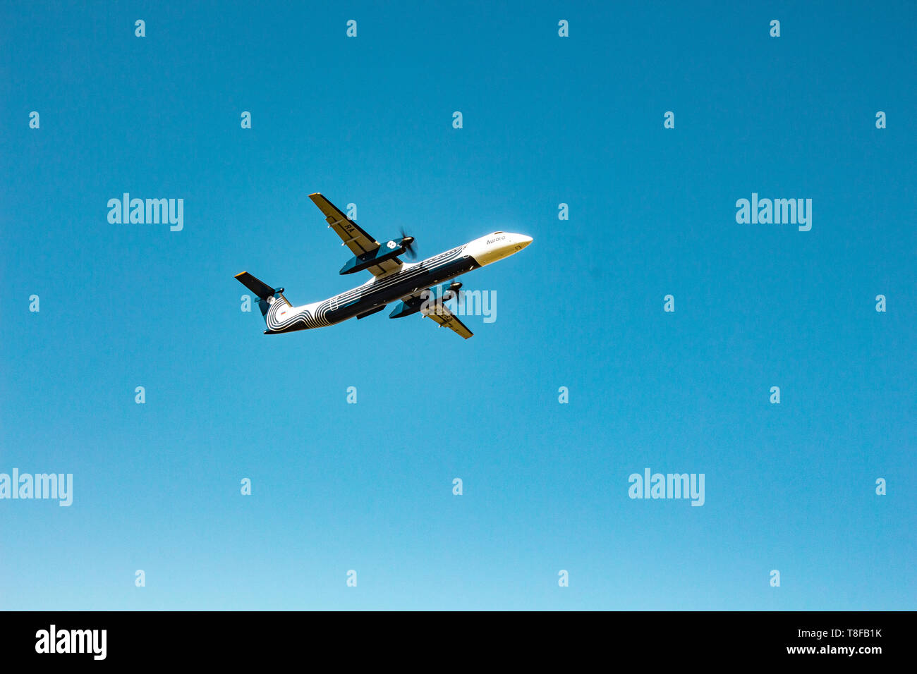 KHABAROVSK, RUSSIE - Sep 29, 2018 : De Havilland Canada DHC-8-400 RA-67262 Aurora airline vole de la piste de l'aéroport international de Khabarovsk Banque D'Images