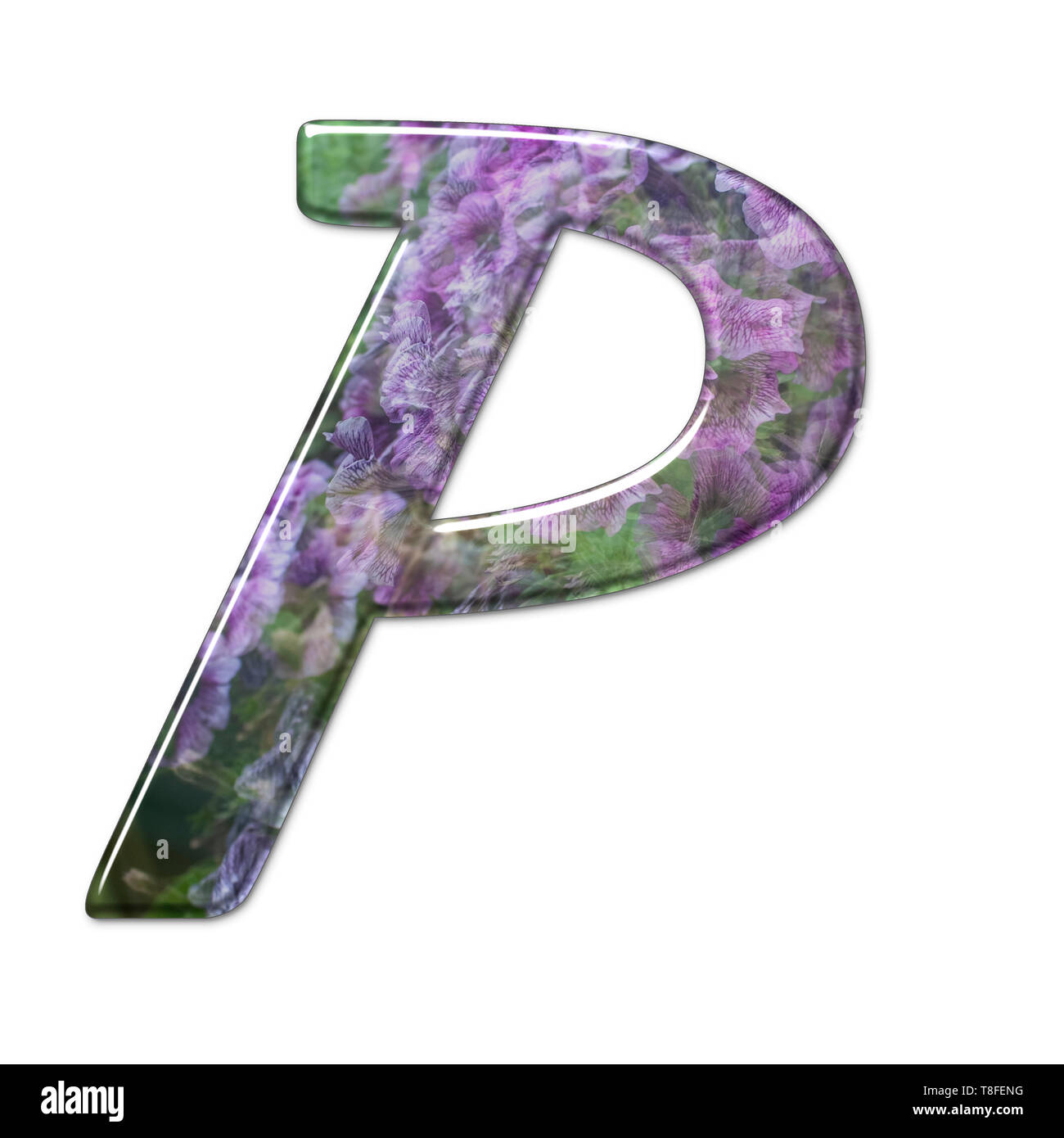 Le Capitole Lettre P Partie d'un ensemble de lettres, chiffres et symboles de l'alphabet en 3D faite avec une image sur fond blanc Banque D'Images