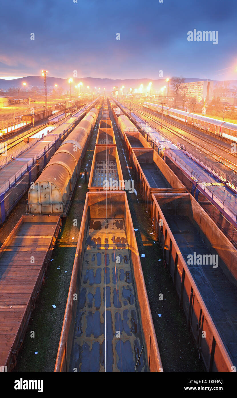 Transport de fret ferroviaire - plate-forme de transit de marchandises Banque D'Images