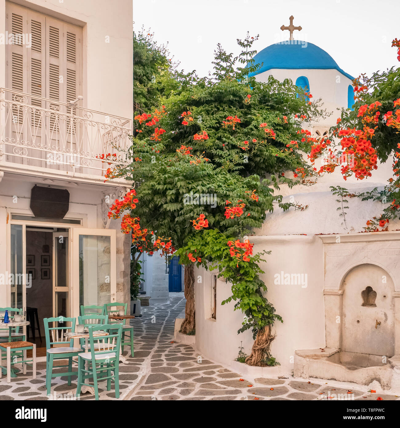 Café en plein air traditionnel et confortable de l'église grecque sur la magnifique rue étroite à Parikia town sur l'île de Paros Cyclades Banque D'Images