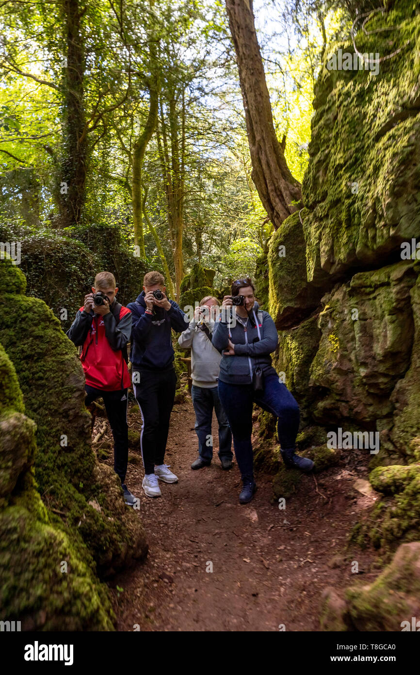 Quatre photographes sur une photo de formation à Puzzlewood, forêt de Dean au printemps, Gloucestershire. Banque D'Images