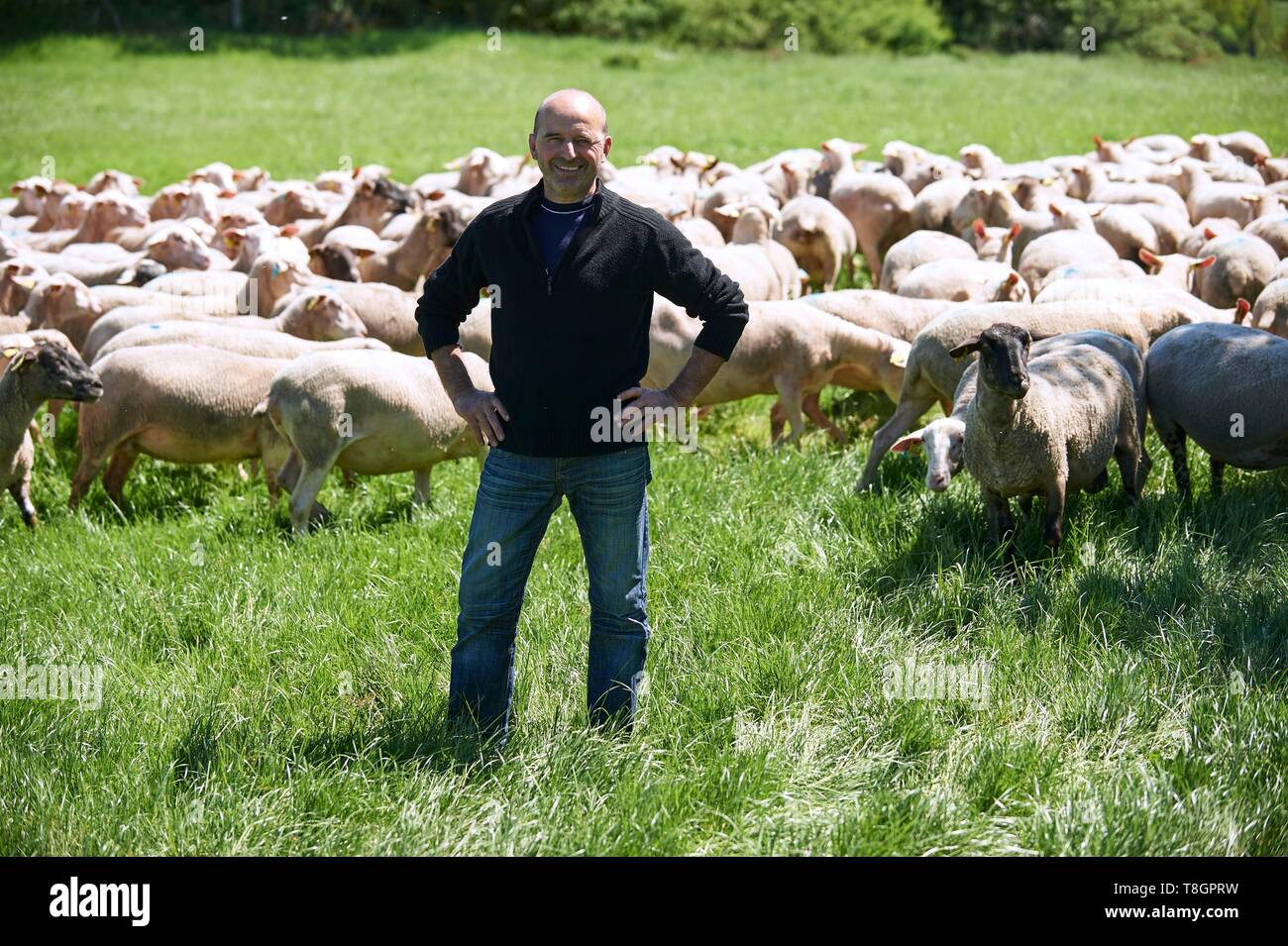 La France, l'Aveyron, Goutrens, portrait de Laurent Foucras, agneau allaiton source Banque D'Images
